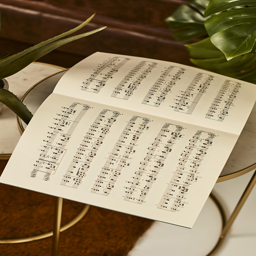 Fig-0-studiare-musica