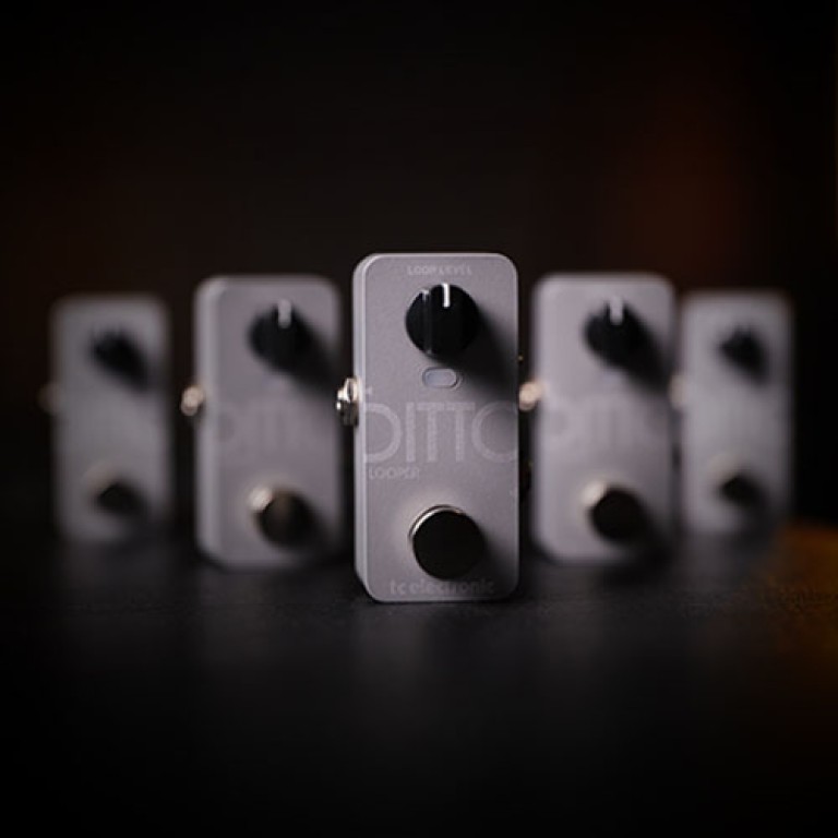 Fig_00_Ditto_2
